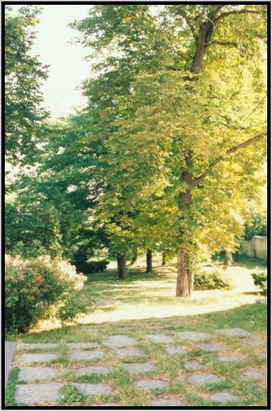 2000 pocsi utca-kert reszlet.jpg