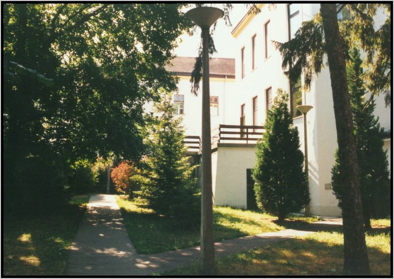 2000 pocsi utca-kertreszlet.jpg