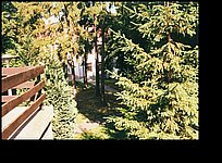 2000 pocsi utca-kert reszlet a B epulettel.jpg