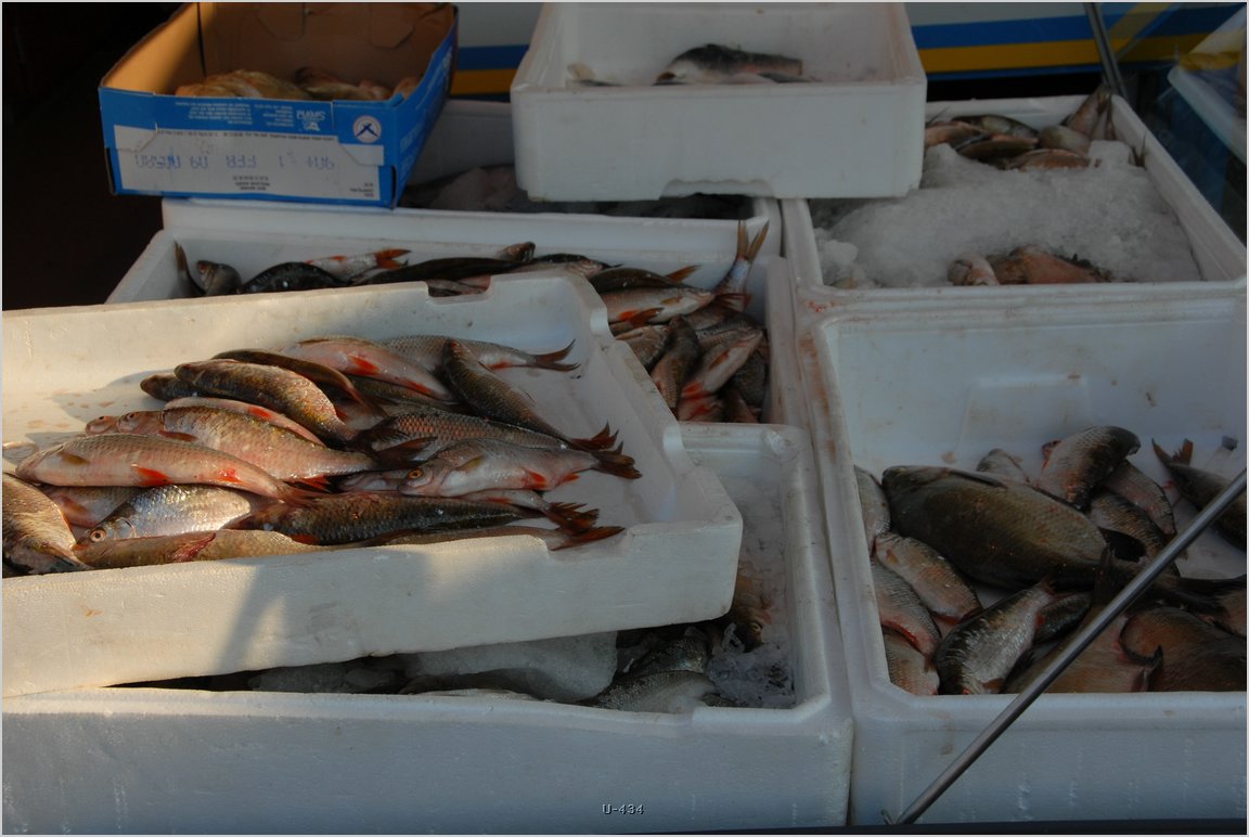 (2007.08.05.)Hamburg-Fischmarkt-14.jpg