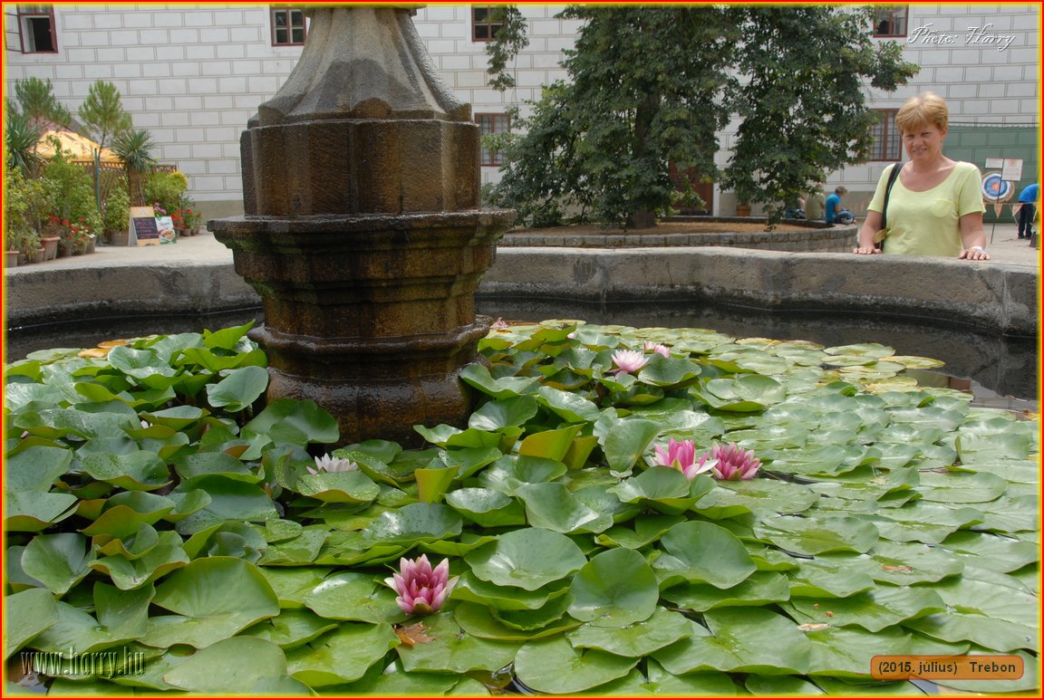 (2015.julius)Trebon-036.jpg