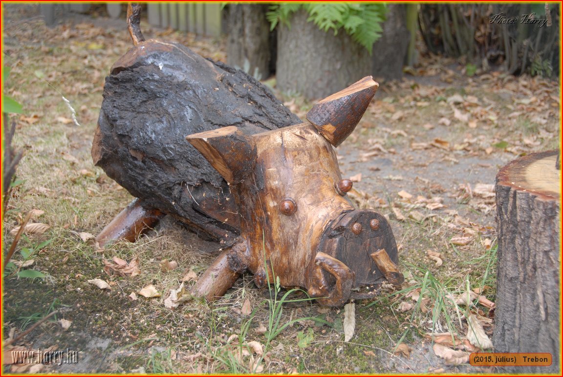 (2015.julius)Trebon-126.jpg