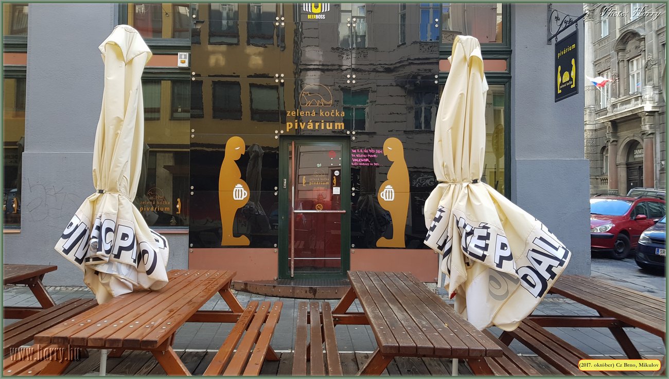 (2017.10.29-31.)Brno_Mikulov-003.jpg