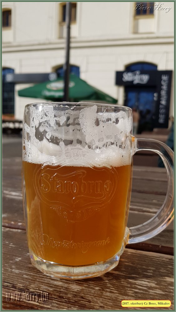 (2017.10.29-31.)Brno_Mikulov-030.jpg