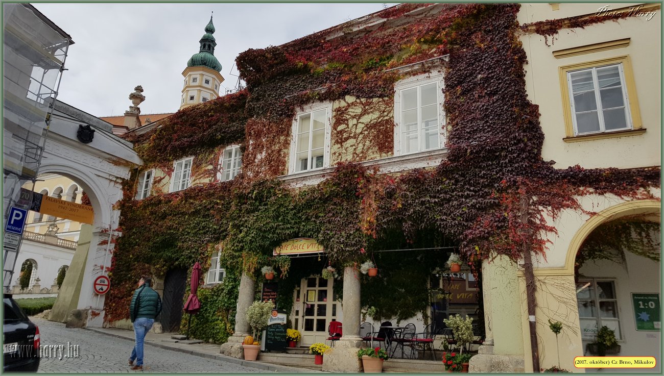 (2017.10.29-31.)Brno_Mikulov-087.jpg