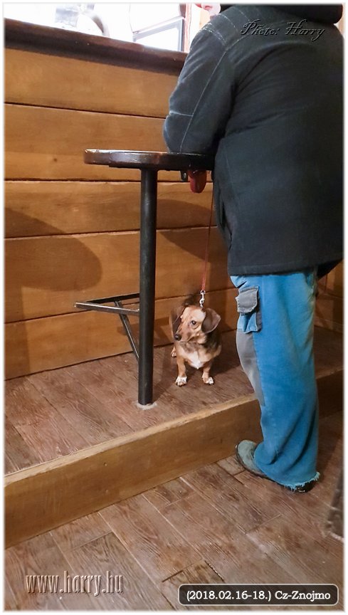 (2018.02.16-18.)Cz-Znojmo-083.jpg