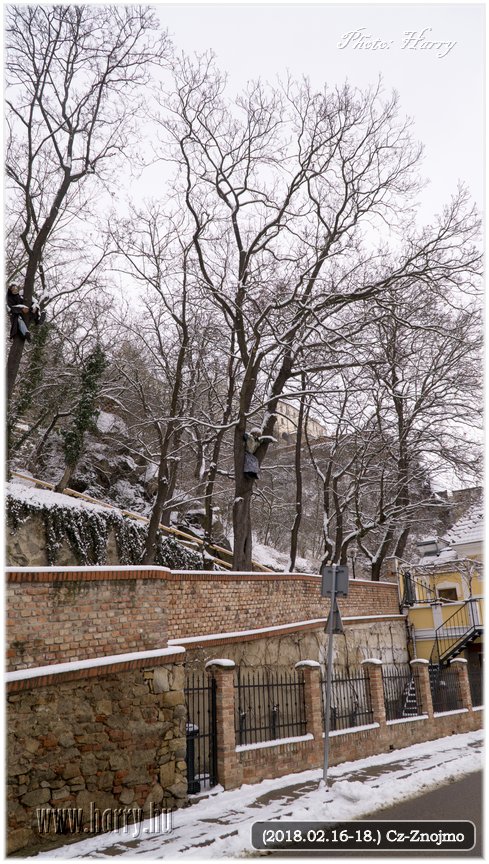 (2018.02.16-18.)Cz-Znojmo-132.jpg