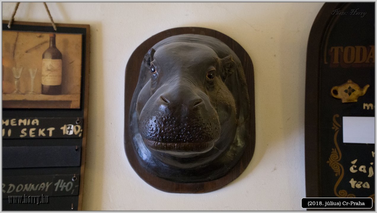 (2018.julius)Cz-Praga-217.jpg