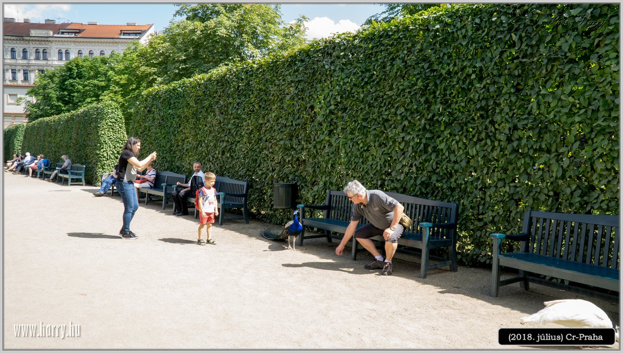 (2018.julius)Cz-Praga-250.jpg