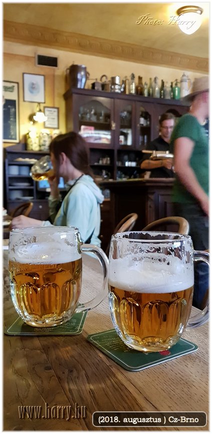 (2018.augusztus)Cz-Brno-057.jpg