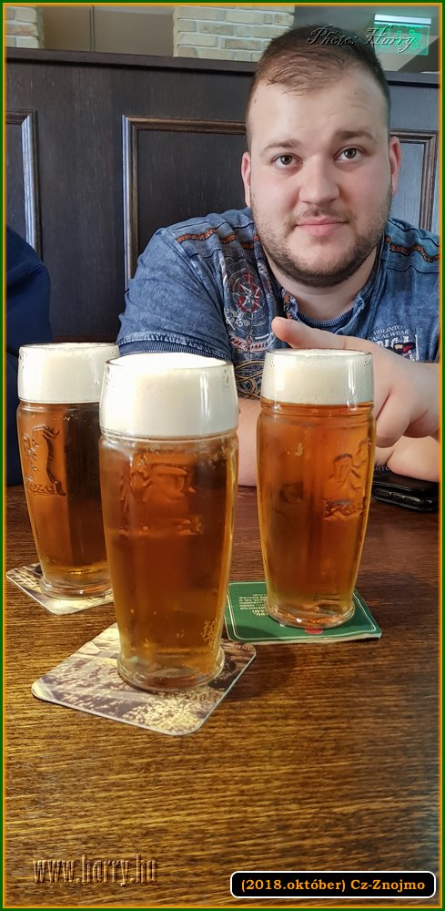 (2018.oktober)Cz-Znojmo-042.jpg