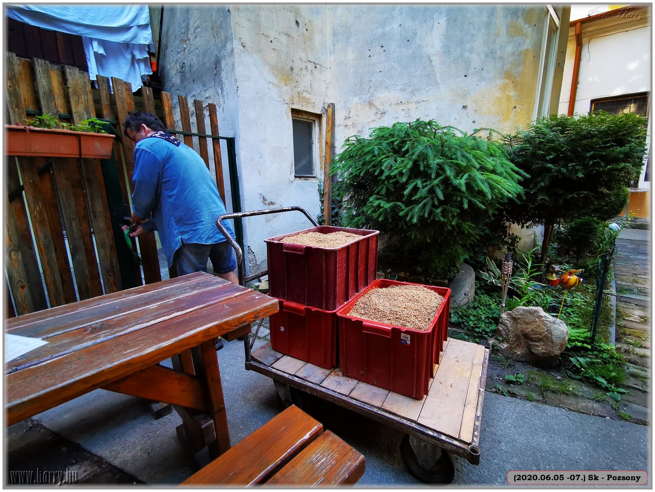 (2020.06.05-06.07.)Sk-Pozsony-147.jpg