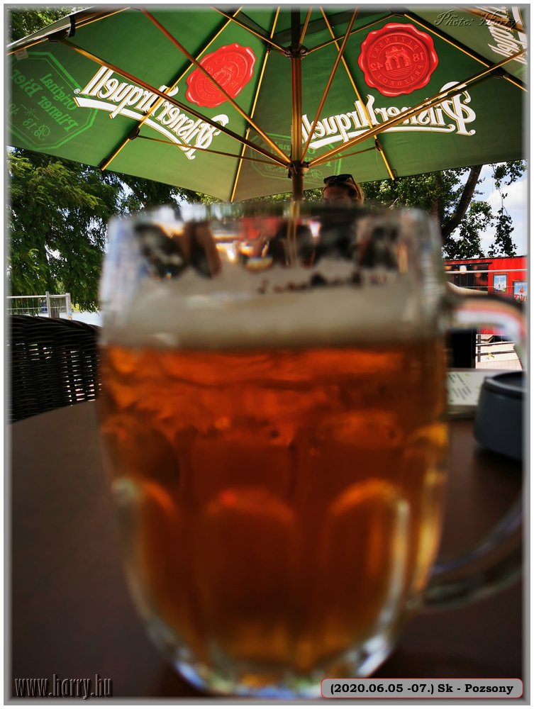 (2020.06.05-06.07.)Sk-Pozsony-194.jpg