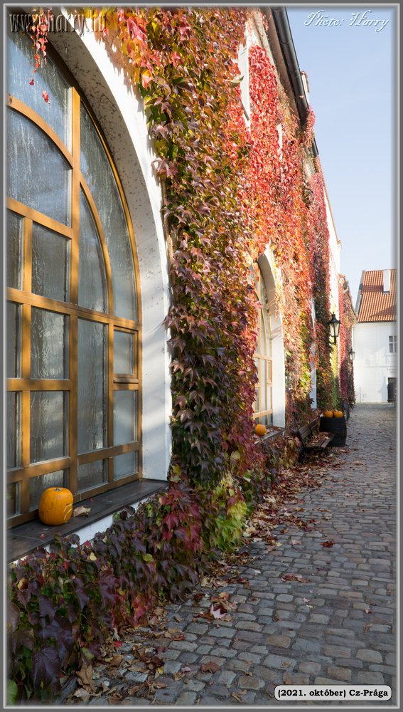 2021.oktober-Cz-Praga-097.jpg