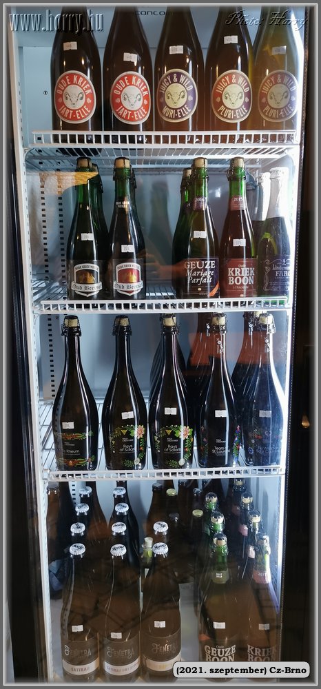 2021.augusztus-Cz-Brno-120.jpg