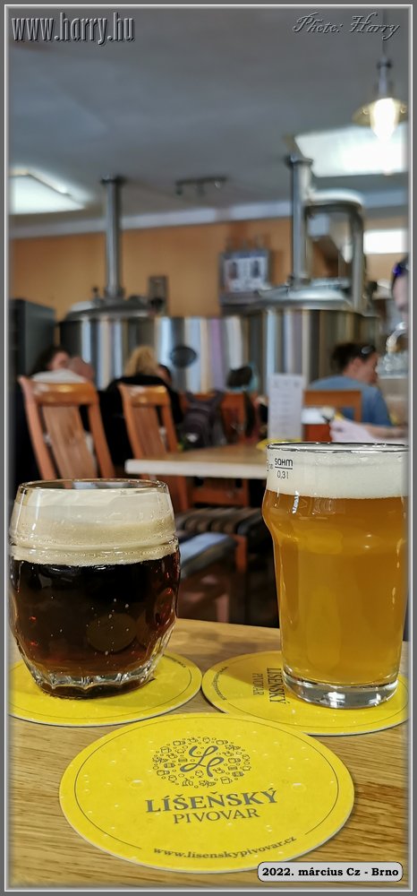 2022.03-Cz-Brno-113.jpg