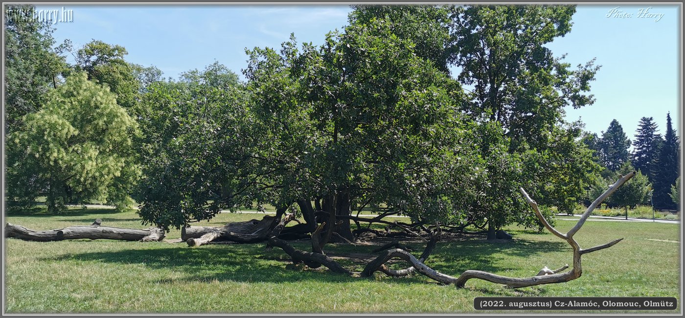 2022.08-Cz-Olmutz-013.jpg