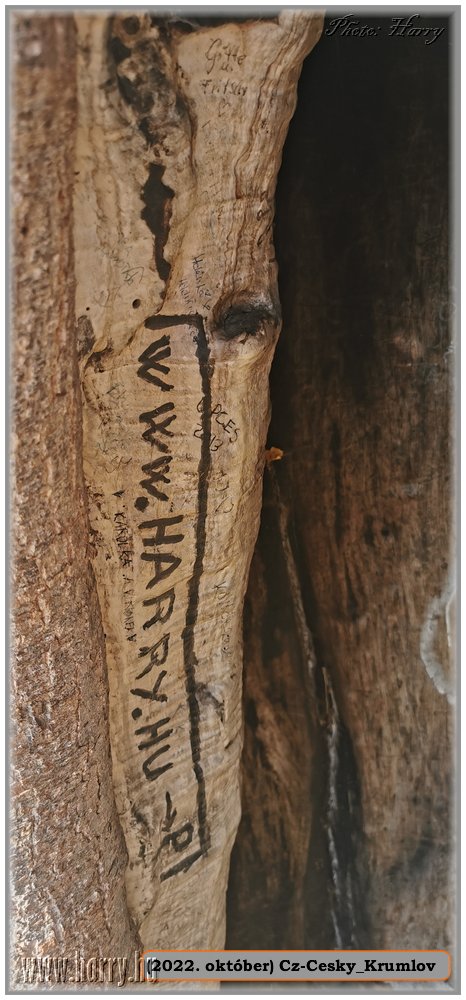 2022.10-Cz-Cesky_Krumlov-066.jpg