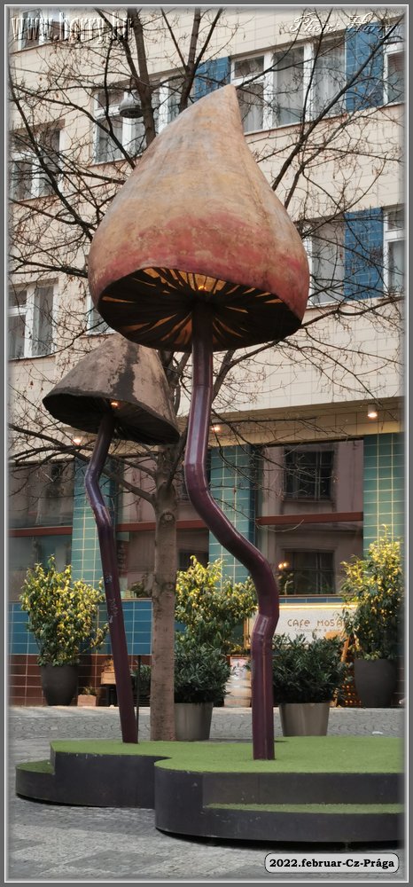 2022.februar-Cz-Praga-217.jpg
