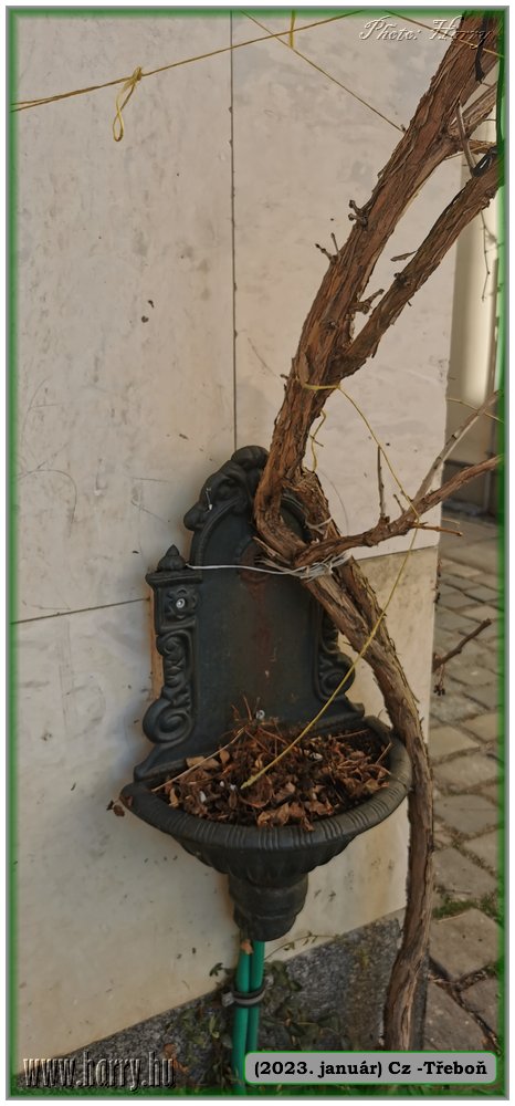 2023.01-Cz-Trebon-14.jpg