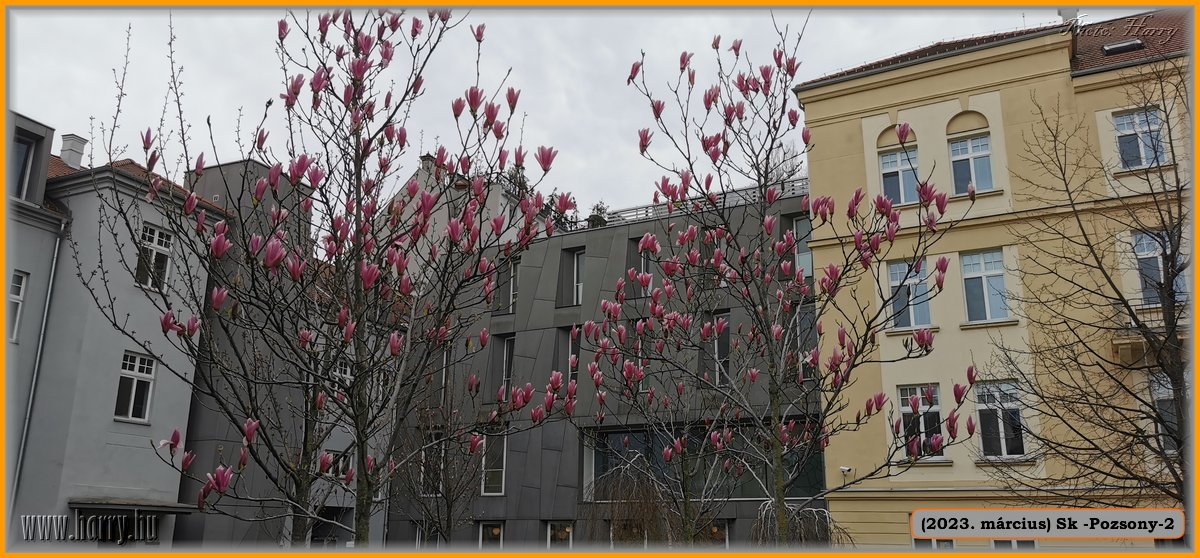 2023.03-Sk-Pozsony-08.jpg