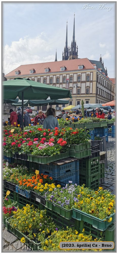 2023.04-Cz-Brno-083.jpg