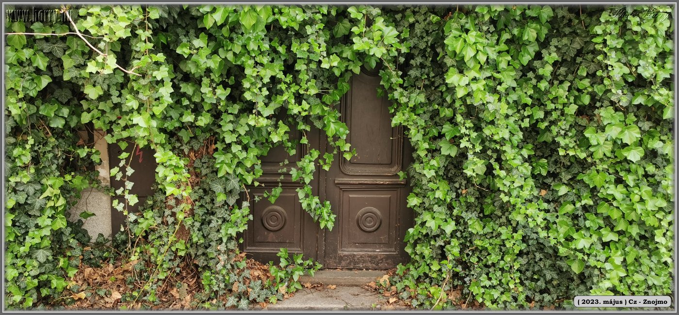 2023.05-Cz-Znojmo-051.jpg