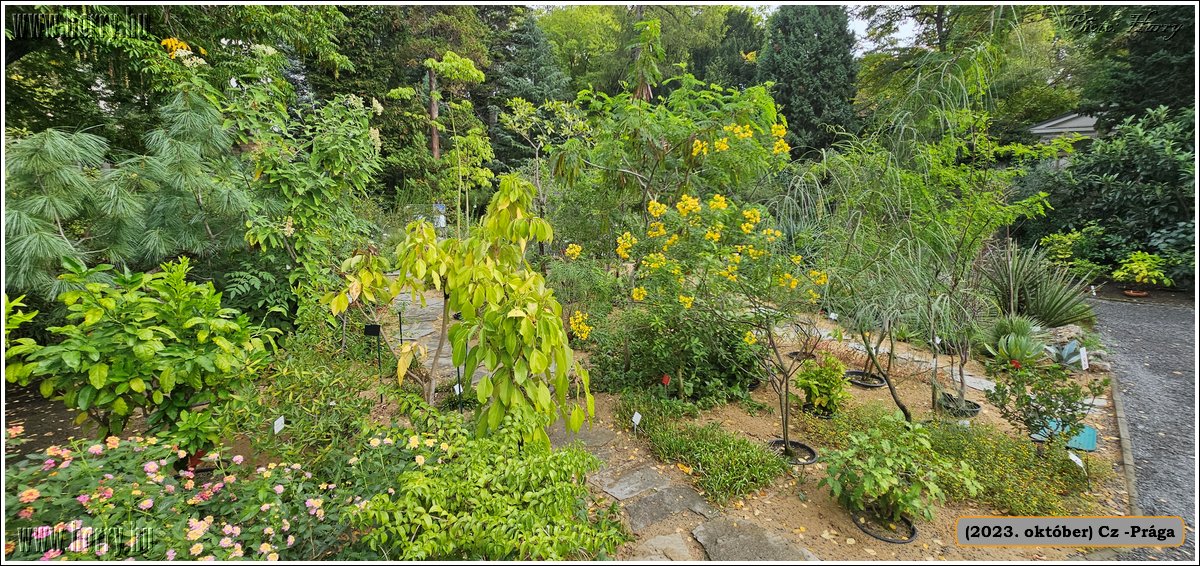 2023.oktober-Cz-Praga-070.jpg