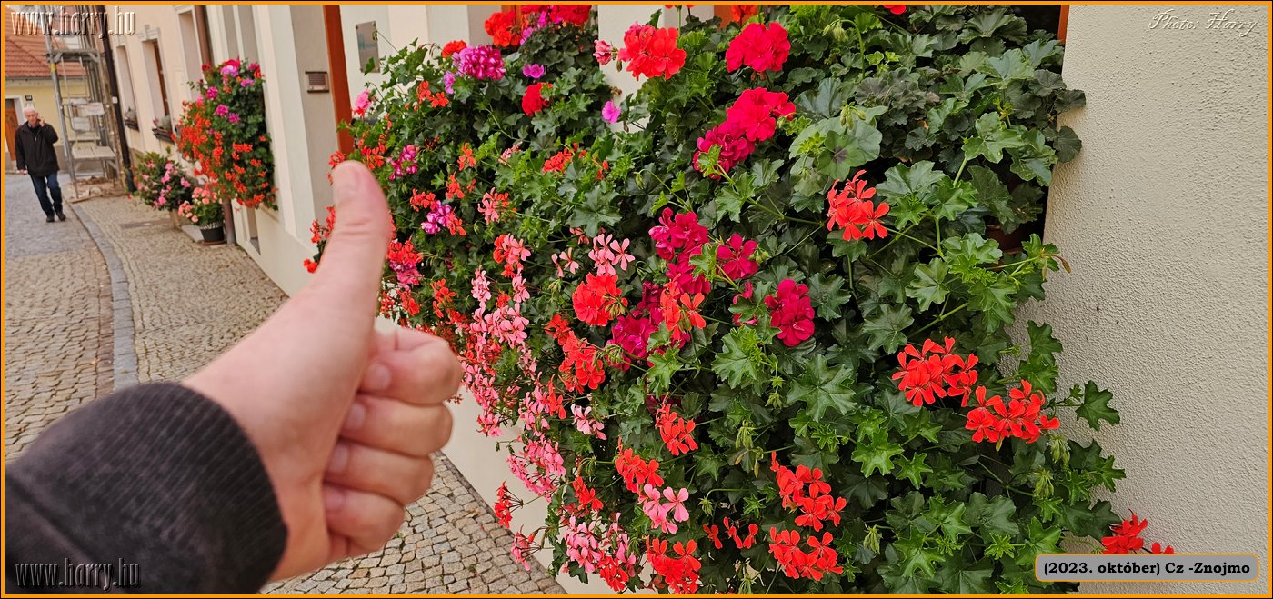 2023.10-Cz-Znojmo-031.jpg