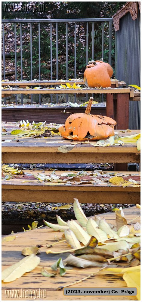 2023.11-Cz-Praga-351.jpg