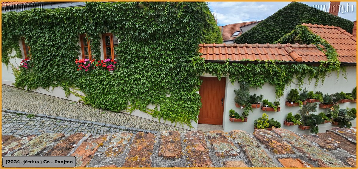 2024.06-Cz-Znojmo-029.jpg