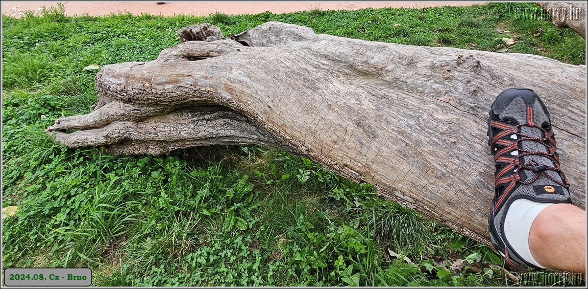 2024.08.-Cz-Brno-028.jpg