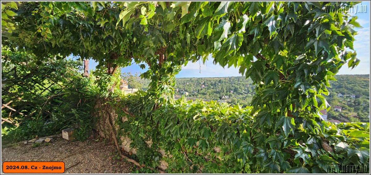 2024.08.-Cz-Znojmo-100.jpg