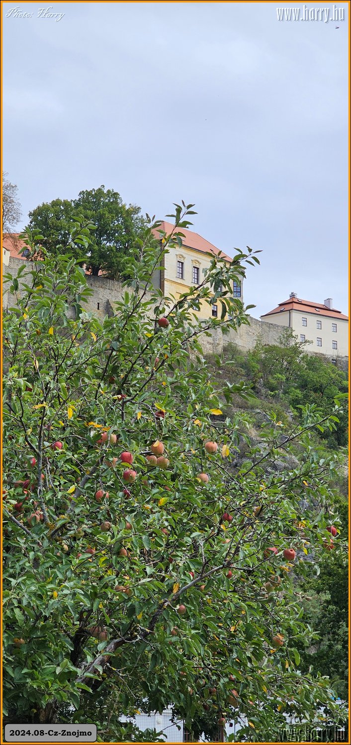 2024.09-Cz-Znojmo-112.jpg