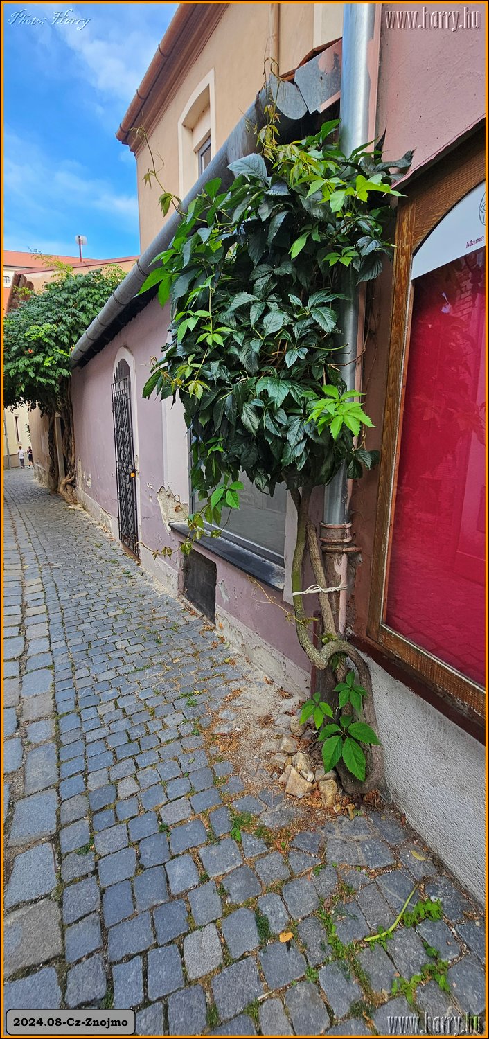 2024.09-Cz-Znojmo-161.jpg