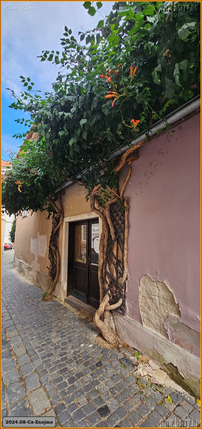 2024.09-Cz-Znojmo-162.jpg