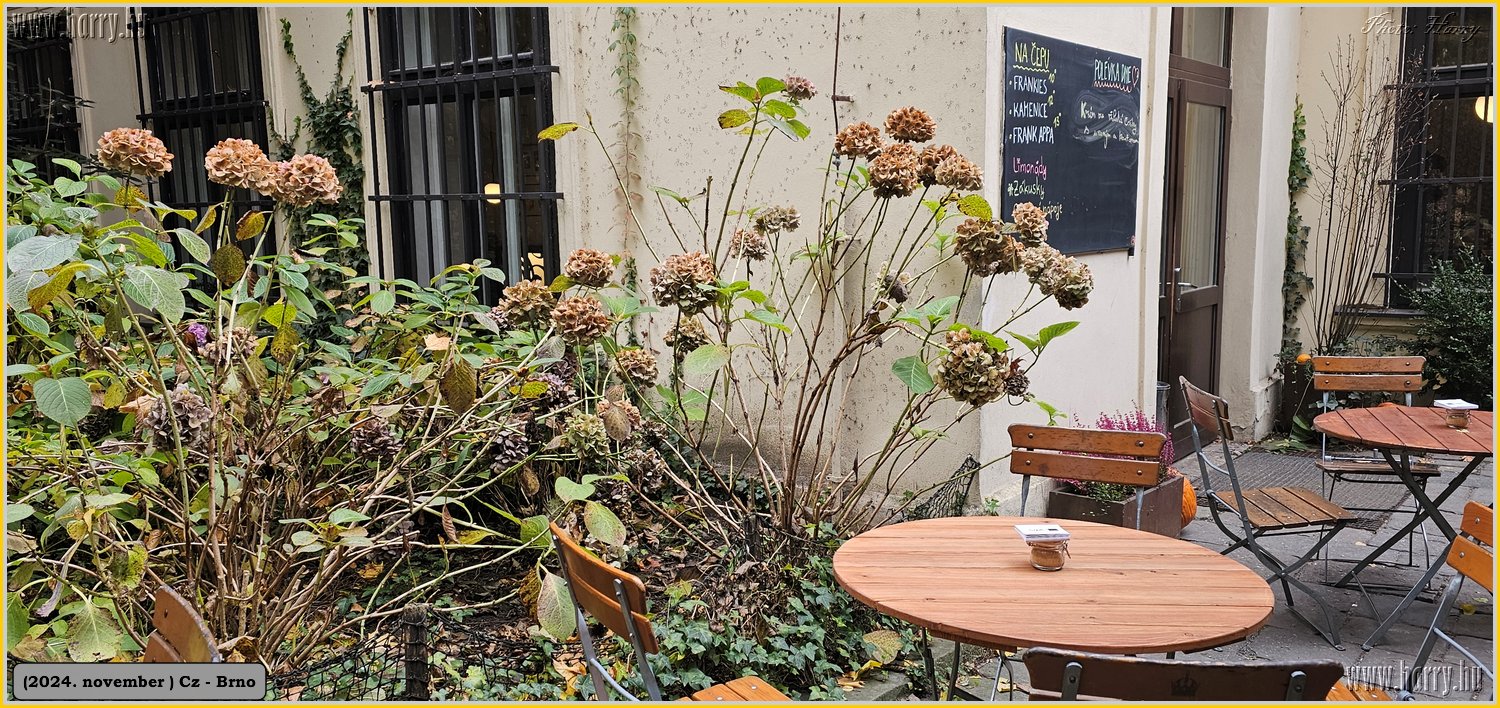 2024.11-Cz-Brno-066.jpg