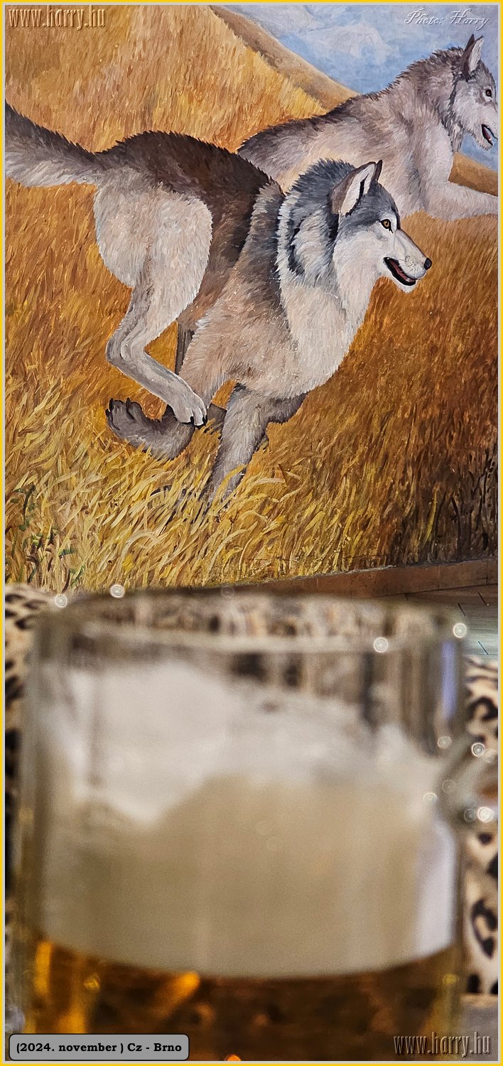 2024.11-Cz-Brno-099.jpg