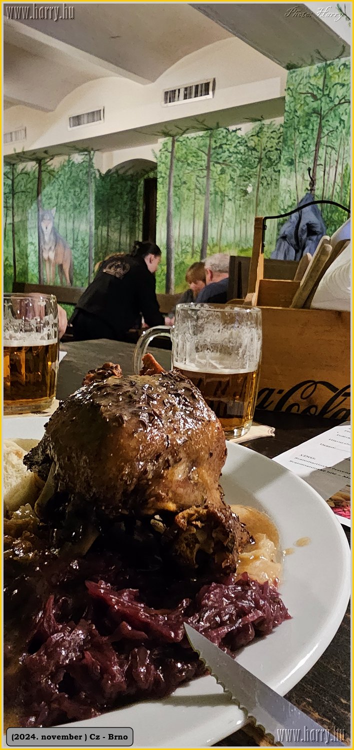 2024.11-Cz-Brno-177.jpg