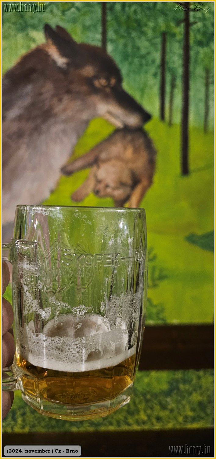 2024.11-Cz-Brno-180.jpg