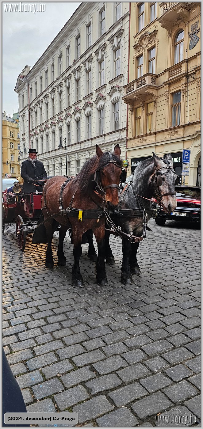 2024.12-Cz-Praga-253.jpg