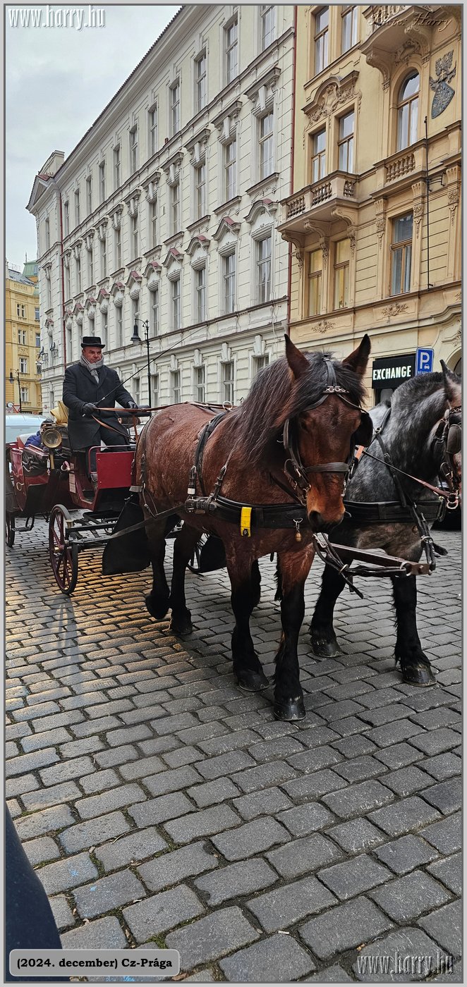 2024.12-Cz-Praga-254.jpg
