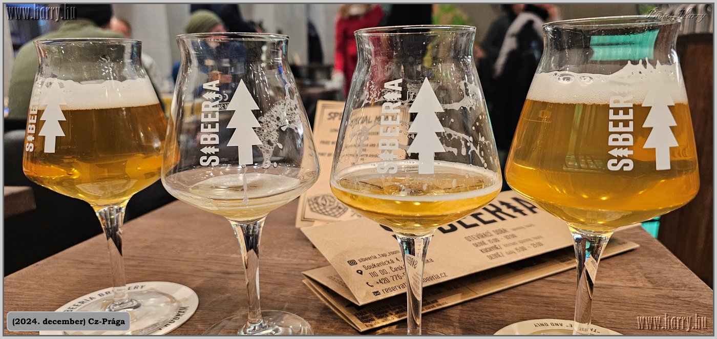 2024.12-Cz-Praga-273.jpg