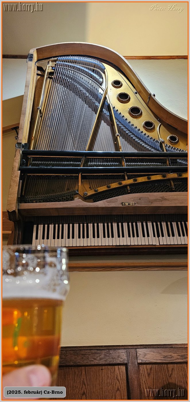 2025.02.-Cz-Brno-017.jpg