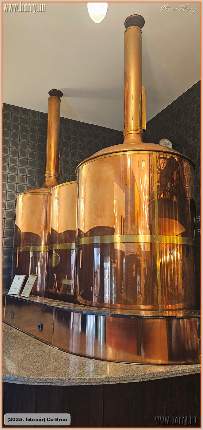 2025.02.-Cz-Brno-044.jpg