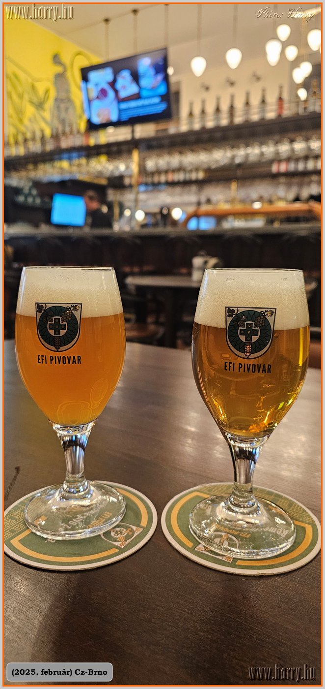 2025.02.-Cz-Brno-047.jpg