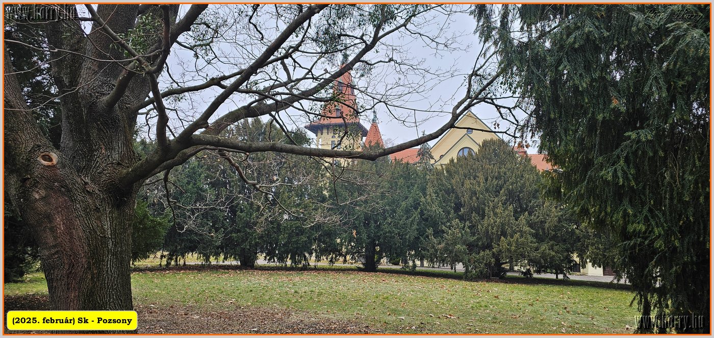 2025.02.-Sk-Pozsony-100.jpg