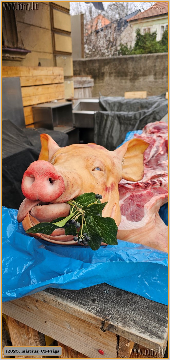 2025.03.-Cz-Praga-175.jpg