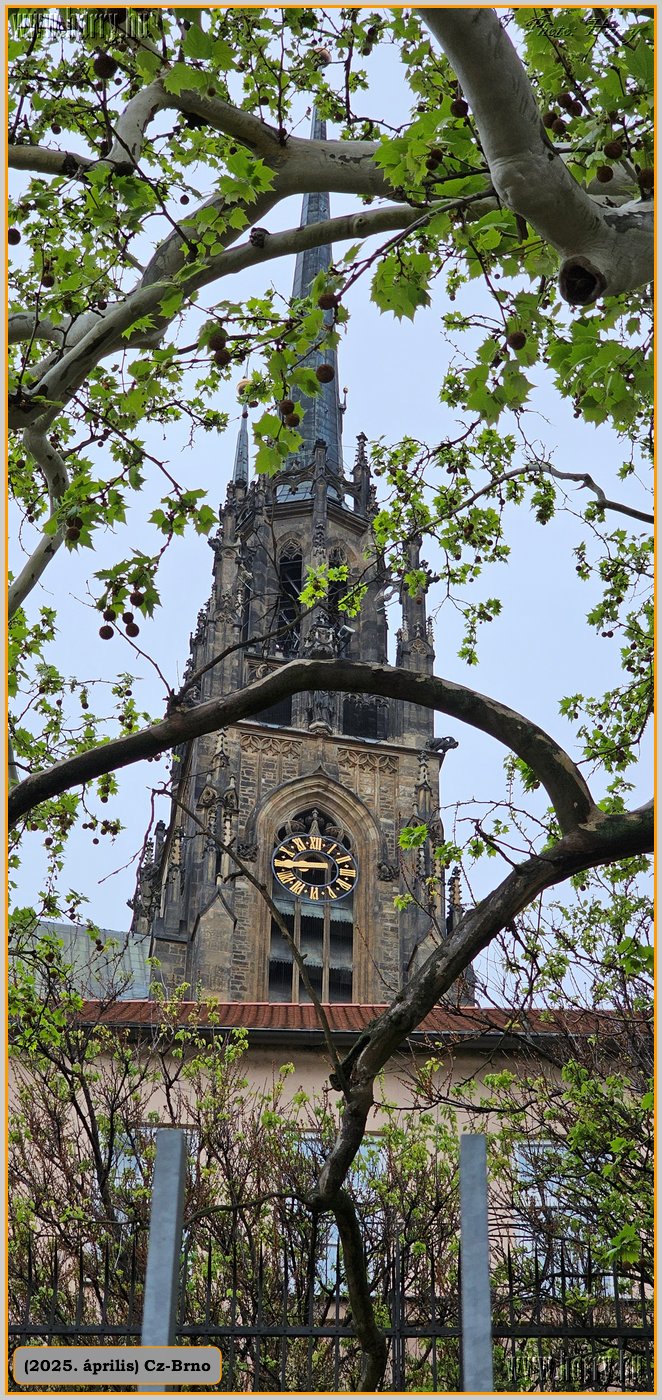 2025.04.-Cz-Brno-070.jpg