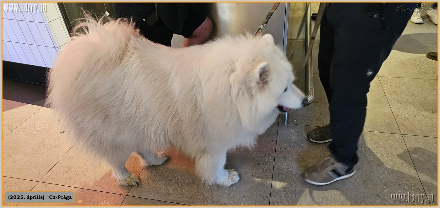 2025.04.-Cz-Praga-190.jpg